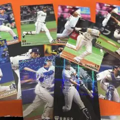 カルビー　プロ野球チップスカード13枚セット