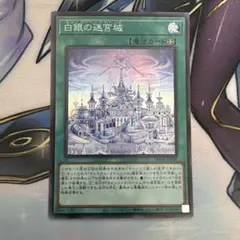 白銀の迷宮城　ラビュリンス　スーパーのサムネイル