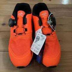 Item thumbnail for item 768d99bd-c3fd-4868-b80e-b3a2a3f840af