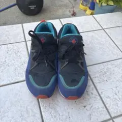 Nike エアハラチ