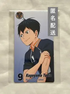 ハイキュー ゴミ捨て場の決戦展 トレーディングチケット風カード 影山飛雄