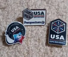 2026年最新】アメリカ ピンバッジの人気アイテム - メルカリ