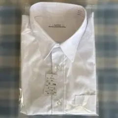 Item thumbnail for item be8a6aae-2b13-4039-9688-63a11c8104e4