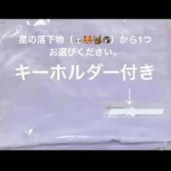 TXT トゥバ　アプグレ　特典　ブランケット　リフレクターキーホルダー