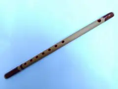 Item thumbnail for item f7cce4a3-7249-4f82-8019-48647f21905a