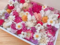 花材詰め合わせ　ドライフラワー　No.624