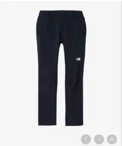 ★ぱんちょこりん様専用ノースフェイス　アルパインライトパンツ M(レディース)