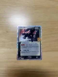 2025年最新】ブラッキー 25th プロモの人気アイテム - メルカリ