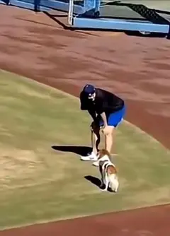 ❣️レイジュン様❣️商談中専用　15%OFF