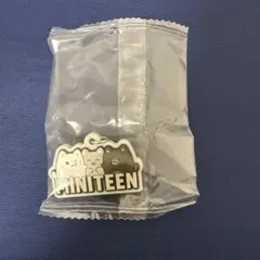 miniteen めじるしアクセサリー ミニティーン ガチャガチャ ジュン