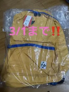 Item thumbnail for item c57cc02b-8b54-44f3-bca8-819fe7f638b3