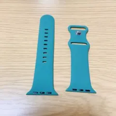 Apple Watch バンド ピスタチオグリーン 42/44/45/49mm