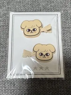 straykids スキズ Seungmin スンミン パピム クリップ