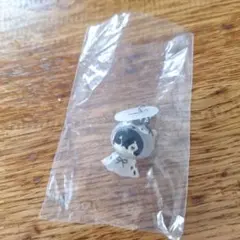 ヒロアカ めじるしアクセサリー 相澤消太