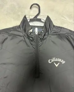 Item thumbnail for item 3c7aec2c-b5a8-4b62-9b58-88c00b9e18e3