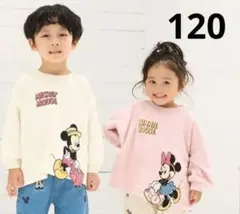 新品　リトシー　littc トリッププルオーバー　ミニー　ディズニー　120