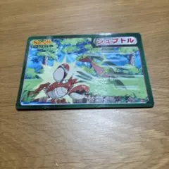 ポケモン カード アニメ トップサン ガム ジュプトル ヘイガニ