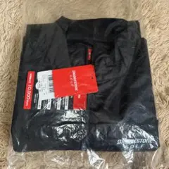 Item thumbnail for item 19b1d652-f56e-43a1-9de2-a983ede4a8c6