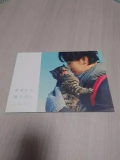 トラさん 僕が猫になったワケ プレスシート 映画 非売品 プレス 北山宏光 多部未華子 キスマイ  ボブという名の猫、シリーズ最新刊「ボブが遺してくれたギフト」が登場