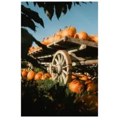 Item thumbnail for item 4445ab4b-9546-4994-8c25-2a53c13010a2