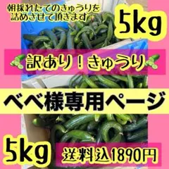 べべ様専用ページ10/29発送予定