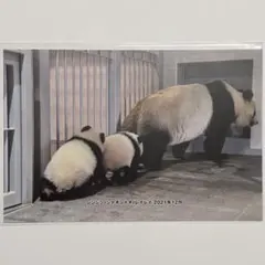 Item thumbnail for item a74f4971-c2b5-4f63-9580-2128df92d4a8