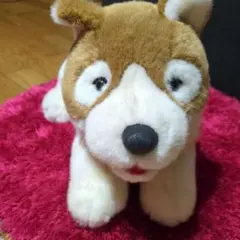 パトラッシュ ぬいぐるみ フランダースの犬のサムネイル