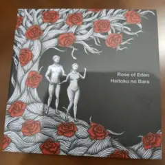 枯れた花に涙を TearsonaWitheredFlower 'Tae Ha' - メルカリ