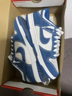 Nike Dunk Low Retro SE 