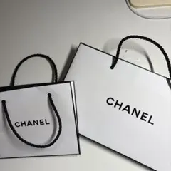 CHANEL ショップ袋 大小セット
