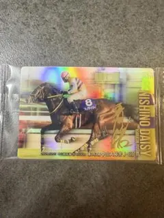 ニシノデイジー 第147回中山大障害 記念カード