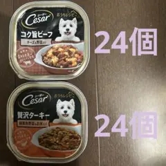 Item thumbnail for item cd8e5d14-08dc-4fc3-a403-a55f0083d8fa