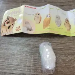 フクロウ マーカーチャーム シロフクロウ