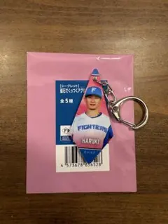 西川遥輝　磁石でくっつくアクリルキーホルダー