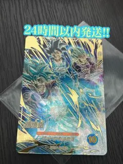 AP2-001 孫悟空 パラレル