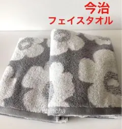 Item thumbnail for item 159cf966-4fc7-4327-b6f2-08b6b7cea81a