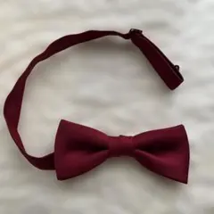 蝶ネクタイ コナン色のサムネイル