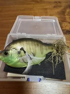 2026年最新】マグナムゾーイの人気アイテム - メルカリ