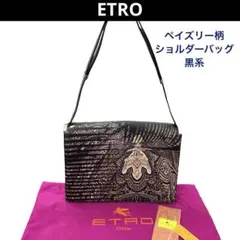 2026年最新】Etro 16(セーズ)/サイズ：ミニ レディース ショルダー