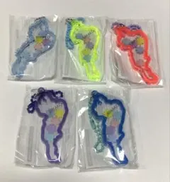琵琶湖キーホルダー びわ湖バレイ限定 5点セット - メルカリ