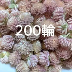 Item thumbnail for item b501737c-eecc-4b47-bcb4-ee66299a4824