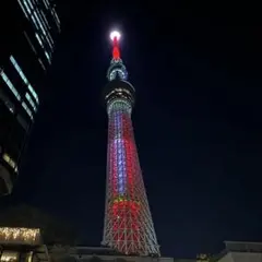 みー様専用ページ