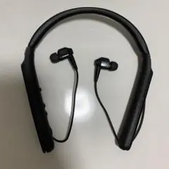 シナジートレーディング スーパー集音器 ケンブン ブラック KBS0002色