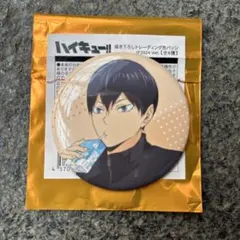 ハイキュー!! 缶バッジ 2024
