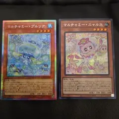 マルチャミー・プルリア プリシク