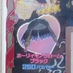 【同梱100円】ホーリィモノクロームブラック プリフォト