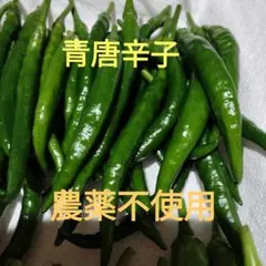 愛知県産】青唐辛子☆200g 栽培期間中農薬不使用！ ネコポス - メルカリ