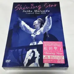 松田聖子/LIVE It's Style'95/1995年 コンサートDVD LIVE Style'95 DVD, 1995コンサートツアー