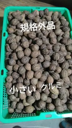 小さな鬼クルミ殻付き　750㌘程　(24)のサムネイル