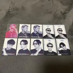 LDH LIVE EXPO 2024 カード ステッカー13枚セット
